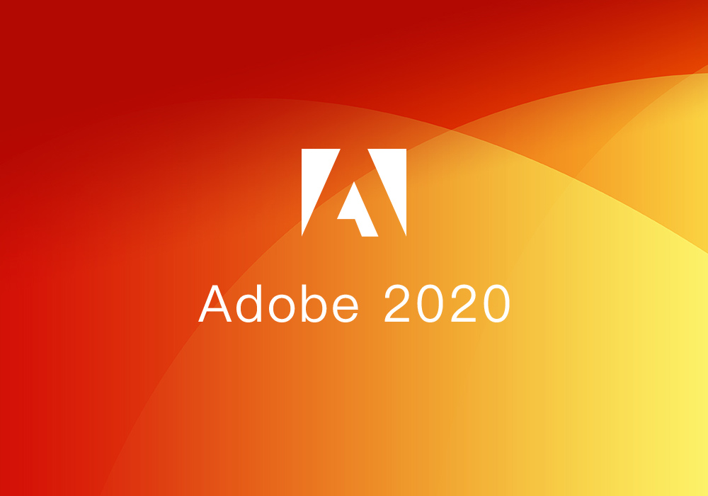 adobe 2020 standard